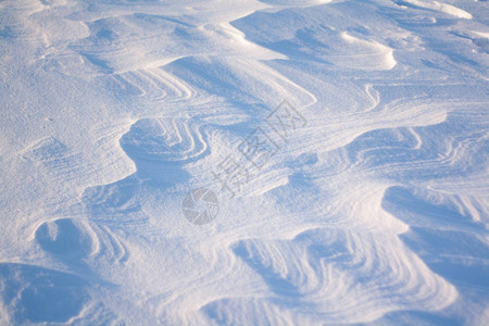 以蓝调表示的新雪图片