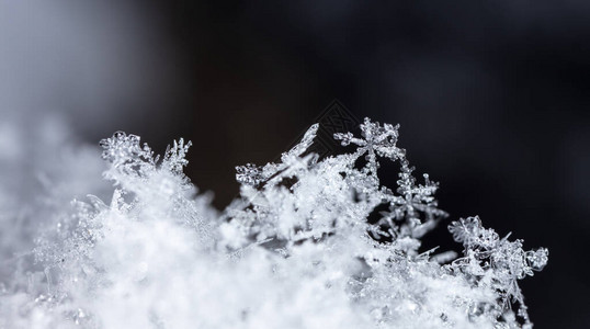 黑色背景上的白色晶雪图片