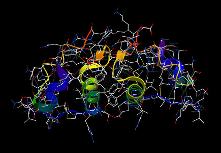 胰岛素3D分子模型图片