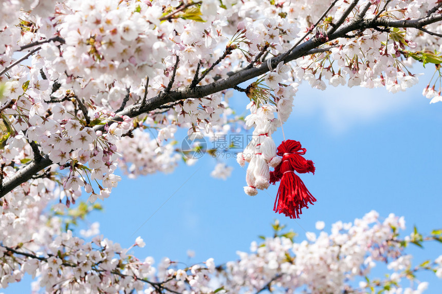 樱花树上面挂着一对手工娃娃图片