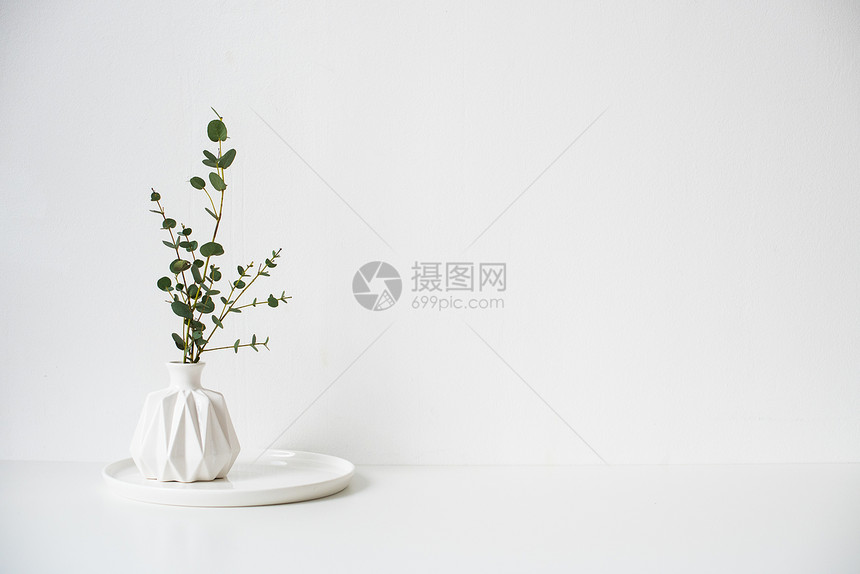 白陶瓷花瓶中的Eucalyptus树枝图片