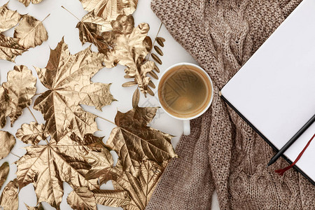白色背景上的毛衣咖啡空白笔记本和金叶图片