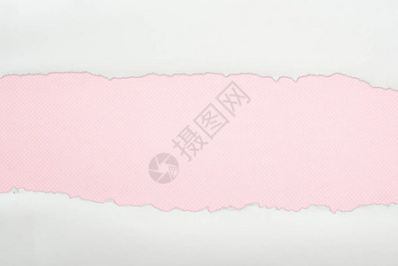 粉红色背景上带有复制空间的白纹背景图片