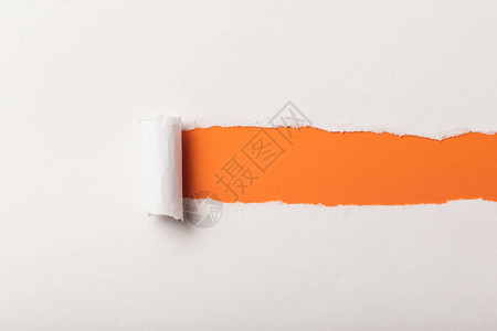 橙色背景上有卷边的撕破的白纸图片