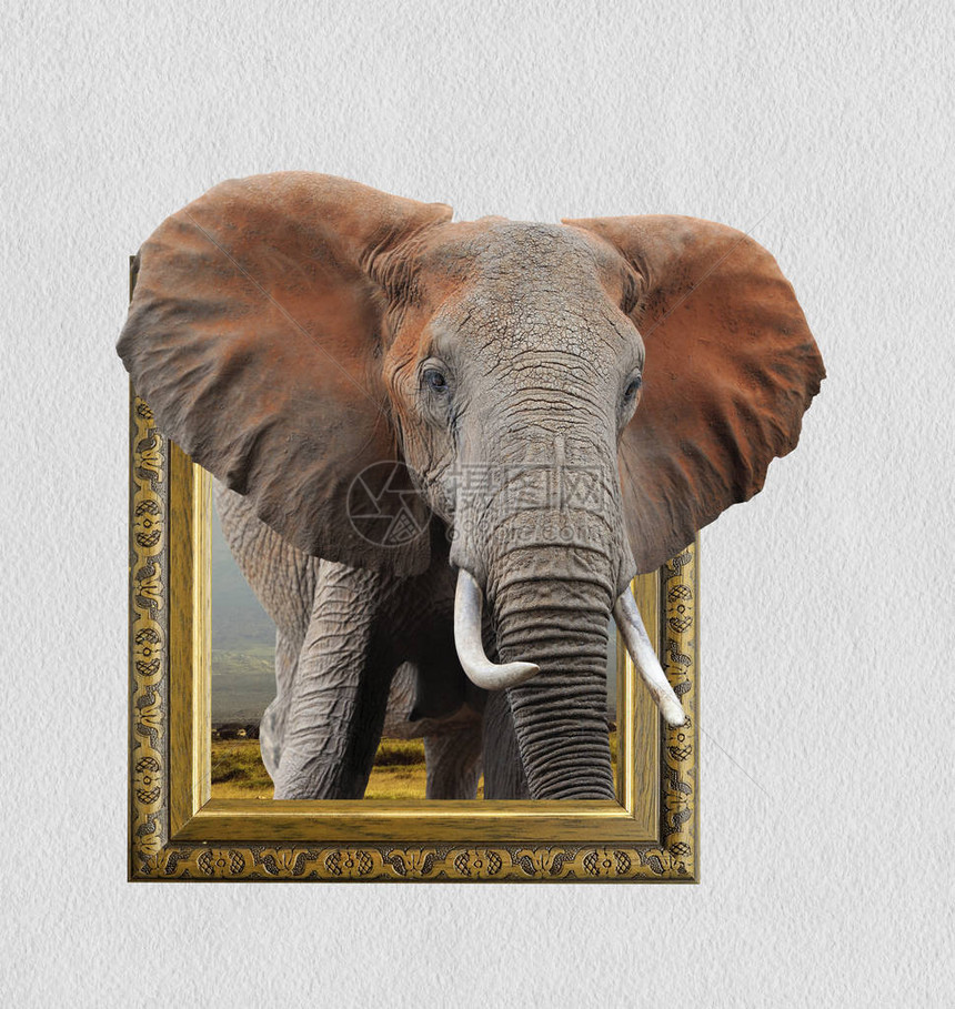 旧木框里的大象具有3d效果图片