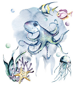 水下动物和海洋生物有鱼类卡通海背景图片