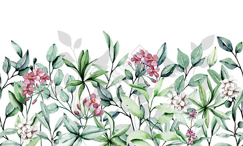 水彩叶子和植物的花框边图片