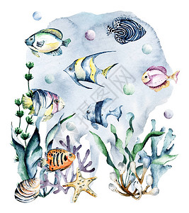 鱼水彩卡通海景观背景图片