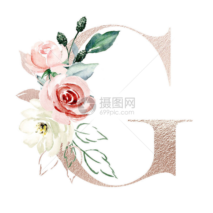 手绘水彩画G字母与鲜花图片