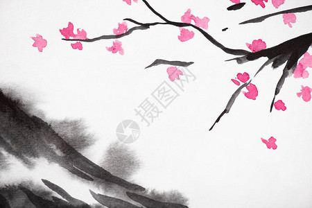 日本画风的樱花树和山丘图片