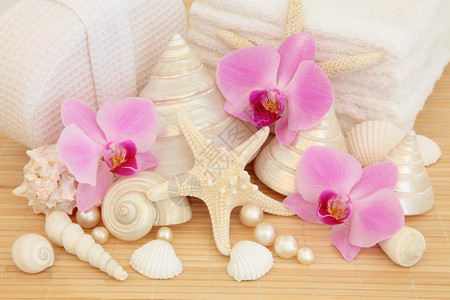 含有粉红色兰花海壳珍珠白毛巾和覆盖竹底面海背景图片