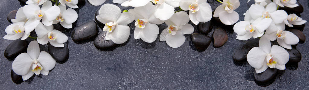 白色兰花水滴在黑色背景上隔开图片