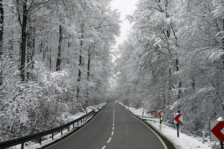 冬季路图片