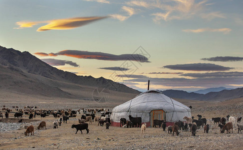 蒙古西部有牦牛的哈萨克游牧民家园图片