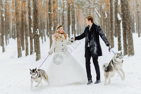 冬季婚礼与狗一起图片