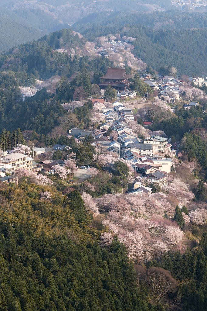 赏樱胜地奈良县吉野山图片