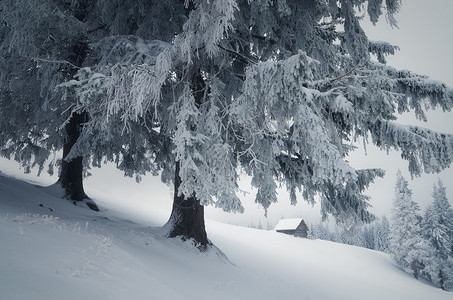 美妙的风景与木房子山村的冬天乌克兰图片
