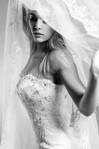 美丽的新娘女人穿着婚纱和面纱年轻华丽新娘的特写肖像图片