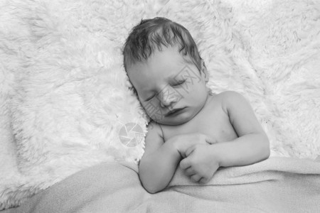 新生儿平静的婴儿睡图片
