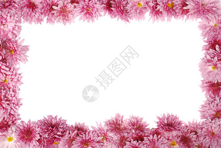 白色背景上的花卉框架图片