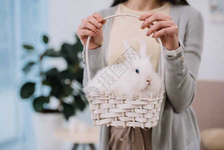 篮子里有白兔的女人的短片图片