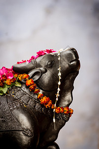 印度北方邦瓦拉纳西神圣公牛南迪雕像图片