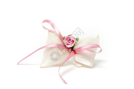 装饰细节粉红色花朵和表带背景图片