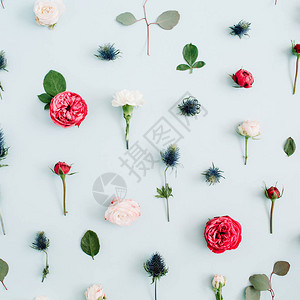 由米色和红玫瑰桉树叶制成的花朵图案纹理在淡蓝色背景上图片