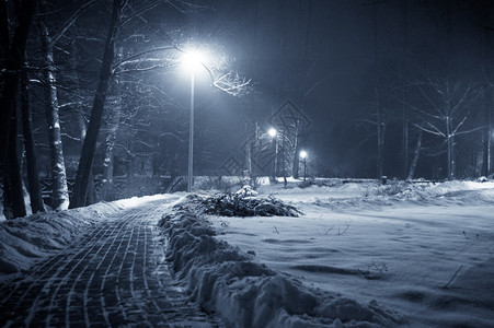晚上冬天公园黑图片