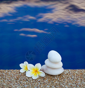 三块带花的石头放在水边图片