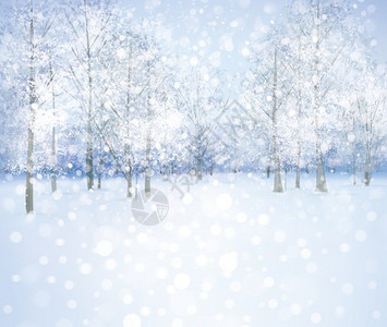 冬季雪景与树木图片