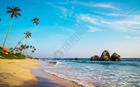 斯里兰卡热带海滩上的图片