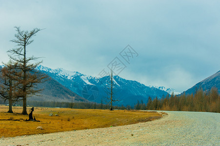 西萨扬山脉美丽的春地景色希亚山高清图片