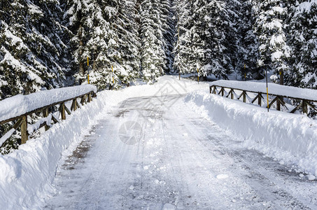 森林路上的雪木桥图片