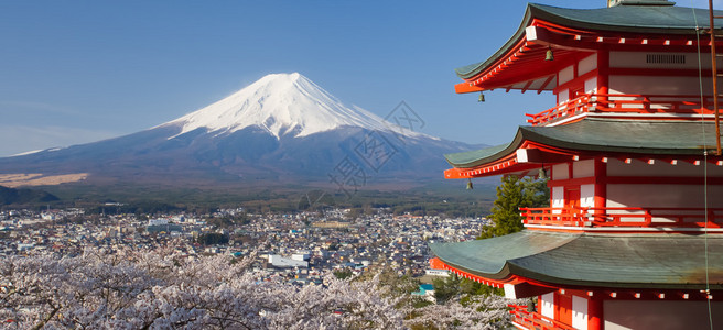 樱花季节的富士山和红塔图片