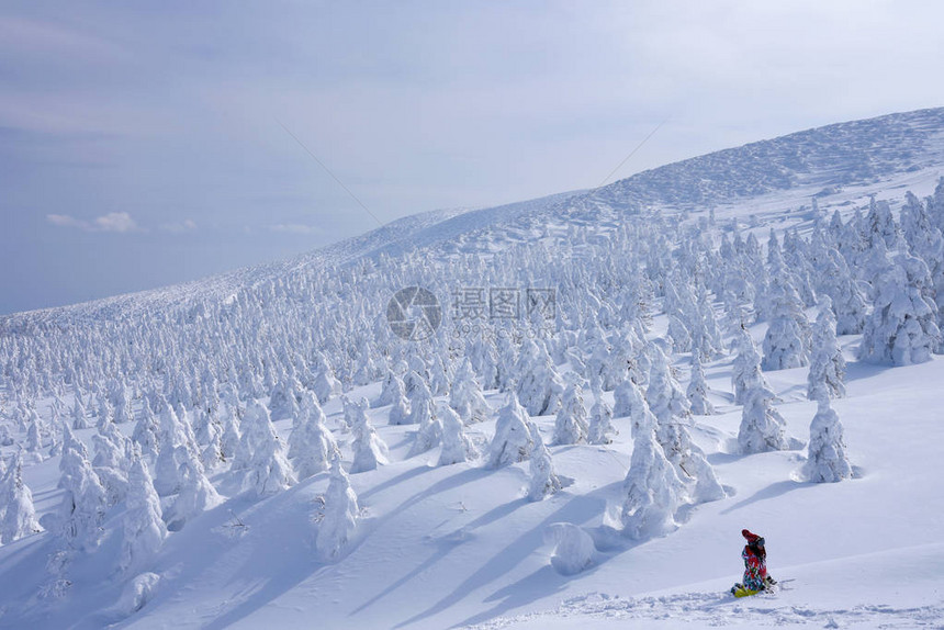 日本山形藏王山的雪怪藏王是东北最大的滑雪胜地之一在冬天图片