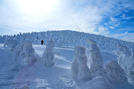 藏王墓日本山形藏王山的雪怪藏王是东北地区最大的滑雪场之一在冬天背景