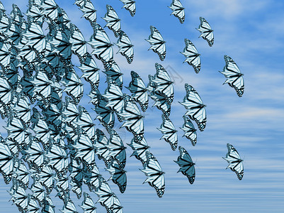 一团蝴蝶飞过蓝天图片