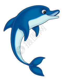 儿童海豚卡通插图图片