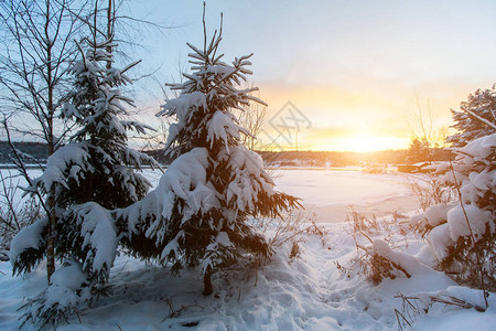 冬季景观河流和雪下的树木图片