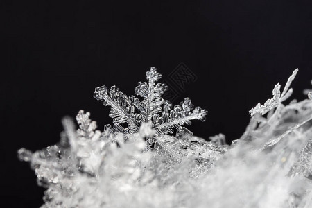 雪上的雪花图片是在8C背景图片