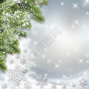 白色雪花和圣诞树枝在圣诞节背景上有文图片