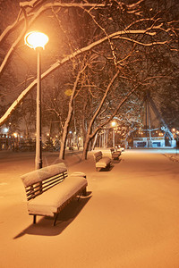 冬城公园的班奇满是积雪图片