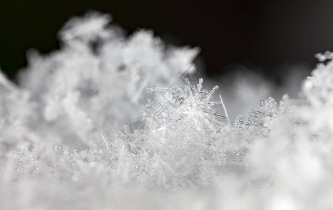 雪花的特写视图冬季背景图片