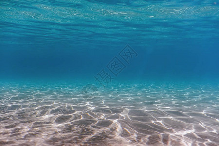 沙质海底水下背景图片