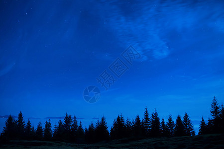 蓝黑夜空下的松树林星很多空间背景图片