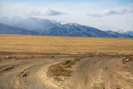 穿越西蒙古草原和山丘的乡村公图片
