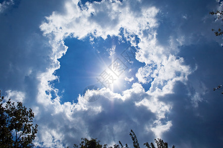 天空背景太阳云彩和树木背景背景图片