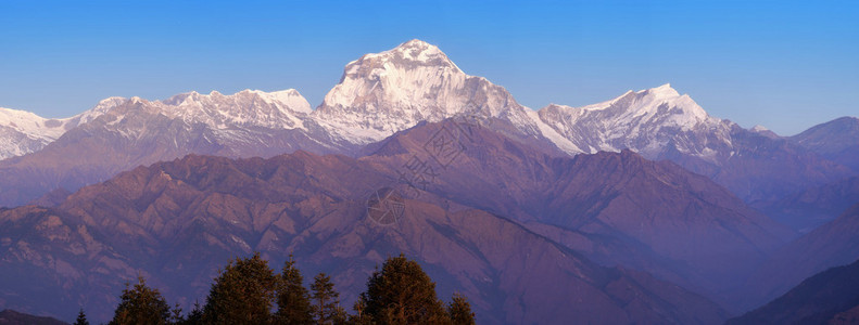 尼泊尔喜马拉雅山脉中部的达拉图片