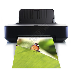 打印机和蝴蝶图片背景图片